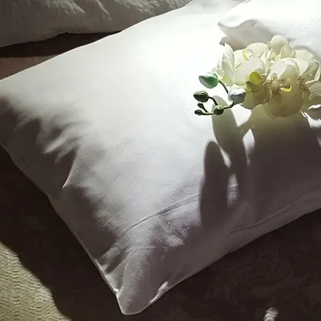 Silvija * Макарська